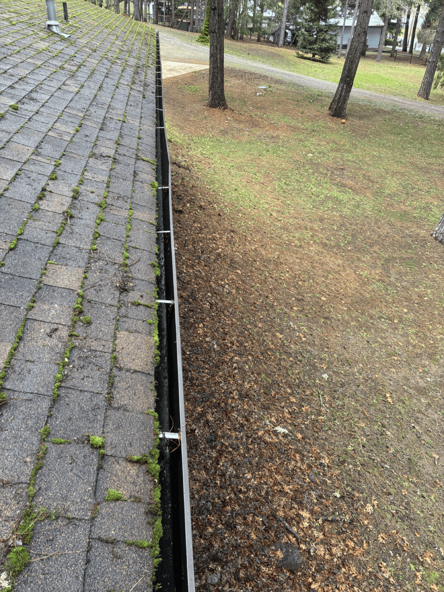 Professional gutter cleaning service in action