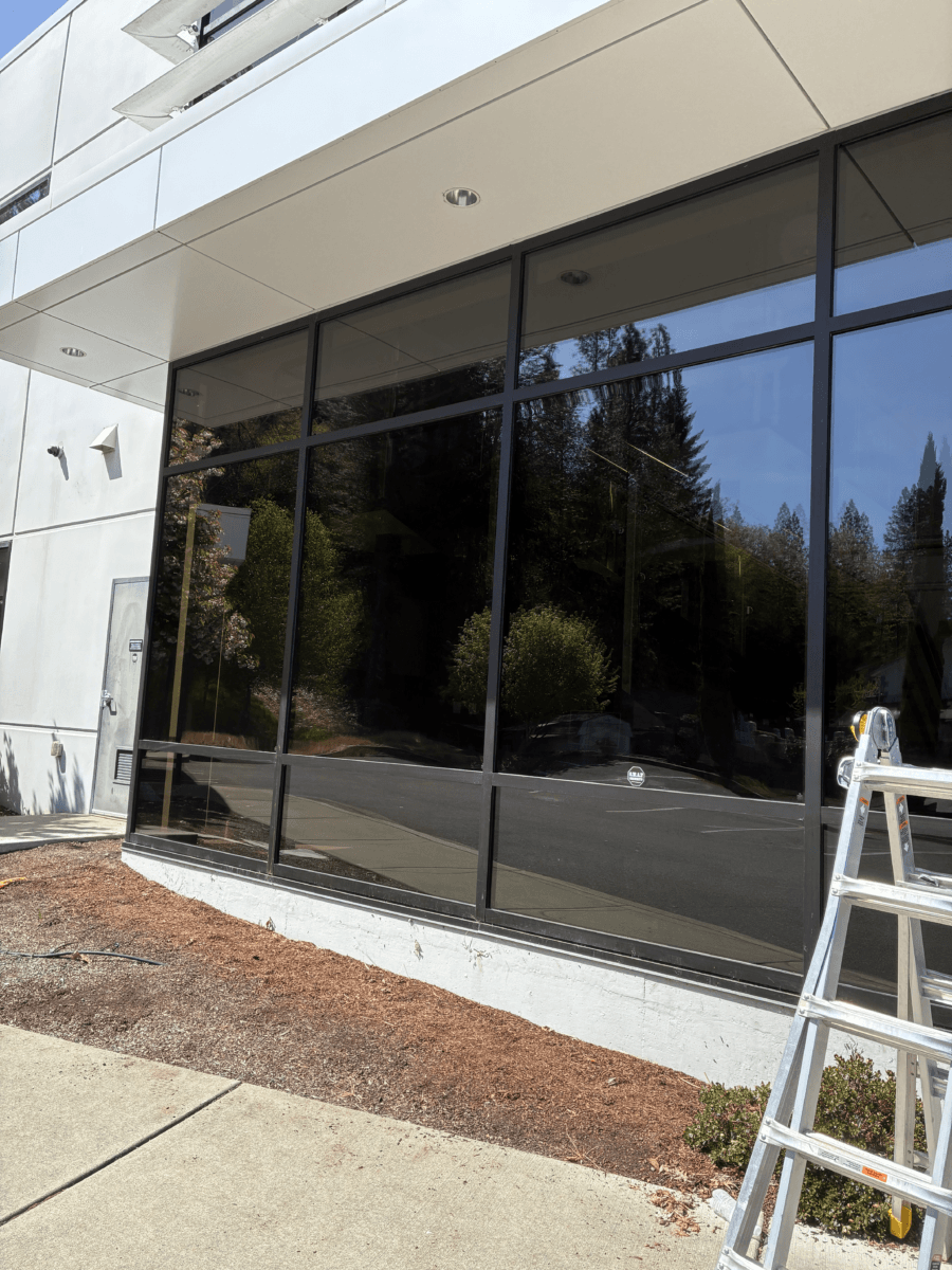 Side view of worthy young woman doing chores at home and cleaning windows with detergent and microfiber cloth.