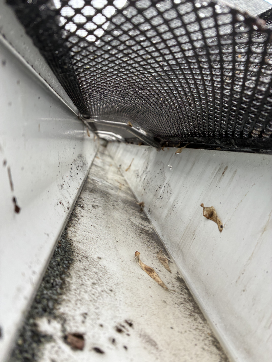 Hand with glove removing autumn leaves from gutter